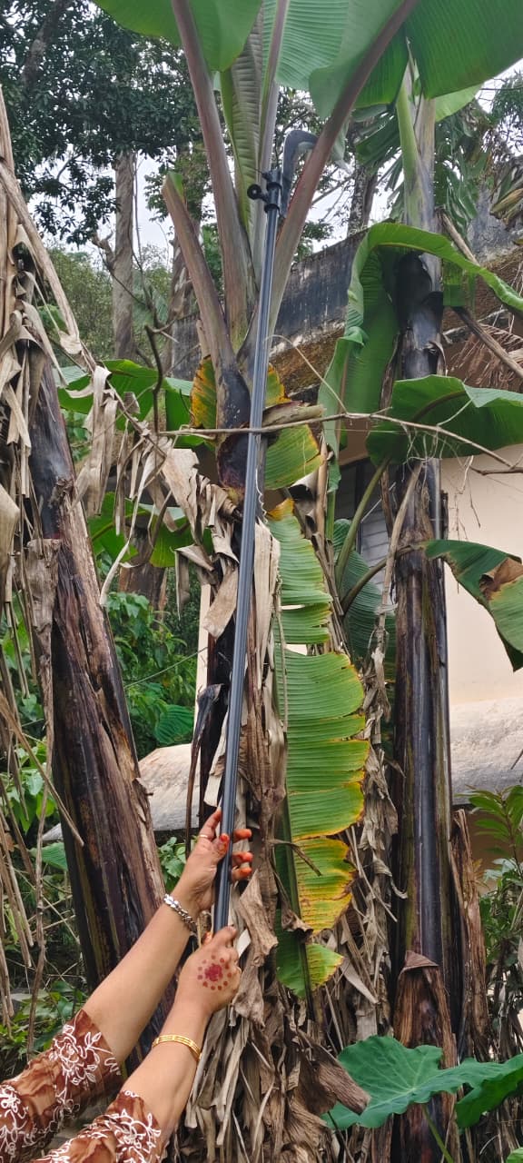 സ്ക്രൂ തോട്ടി - Image 3