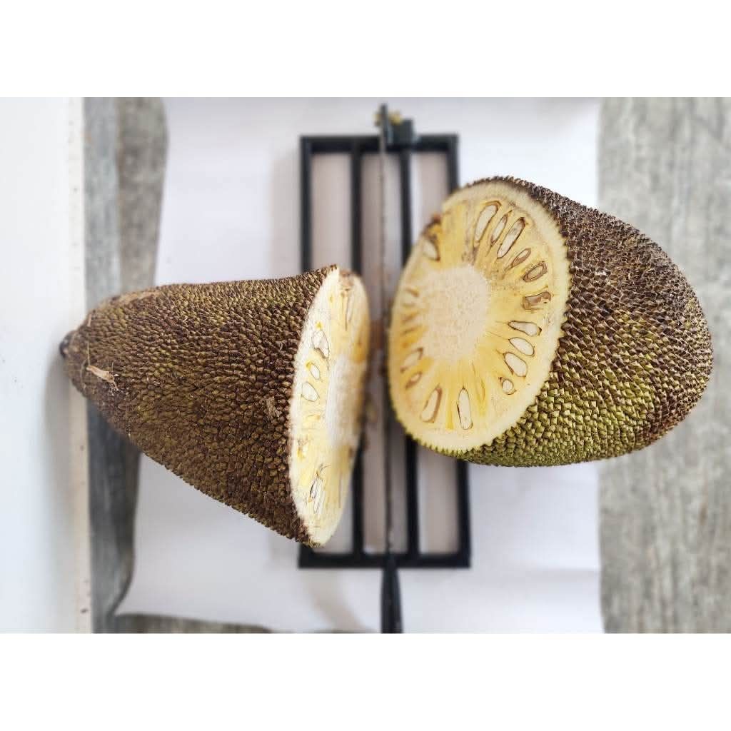 Jackfruit cutter